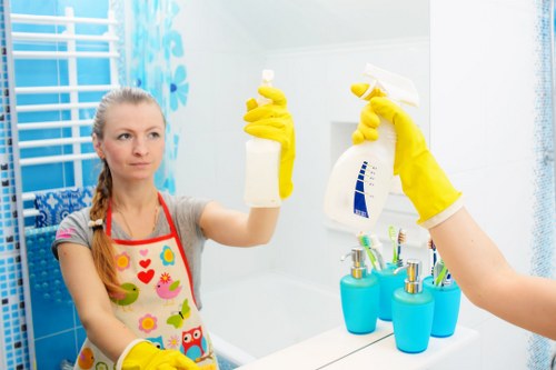 Cleaner servicing a home in Edgware