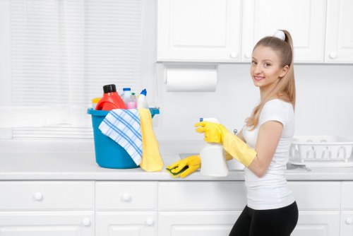 Professional oven cleaning service for homes in Edgware
