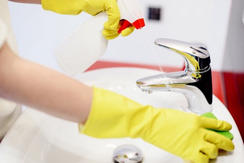 Deep rug cleaning process for removing dirt and stains in Edgware homes