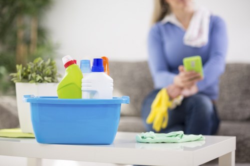 SSL-protected Deep Cleaning Edgware online payment interface