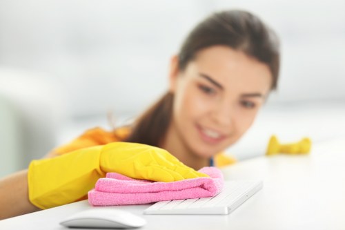 Detailed interior cleaning work during a professional deep clean