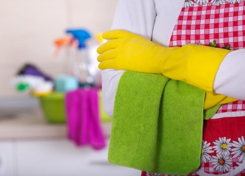 Thorough oven door and interior cleaning for Edgware customers