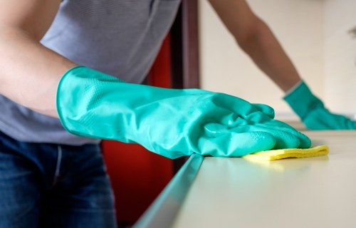 Deep cleaning support for a family home in Edgware