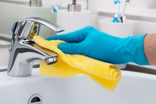 Detailed move-out cleaning for bathroom fixtures and tiles in Edgware