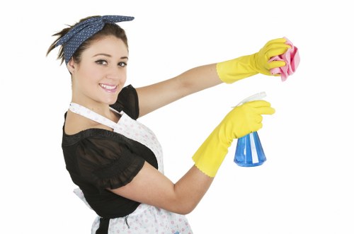 Domestic cleaner in an Edgware residence