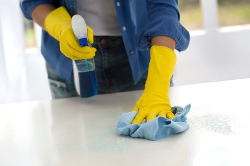 Health and safety policy review for professional deep cleaning operations